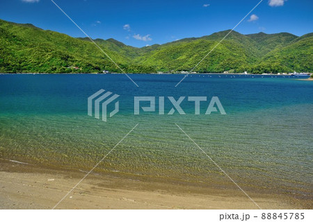 奄美大島　鮮やかな新緑が映える焼内湾 88845785