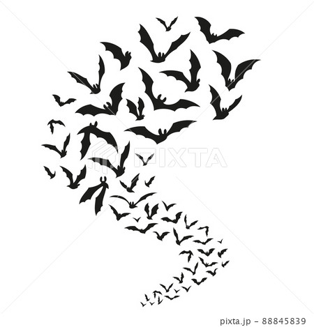 Halloween flying bats. Black bat fly, isolated silhouettes of vampire symbols. Evil scary horror flock, gothic decoration for wall or tidy cut stencil vector design 88845839