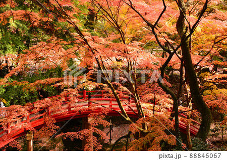 広島県世羅郡今高野山の紅葉 広島県世羅郡今高野山の紅葉 88846067