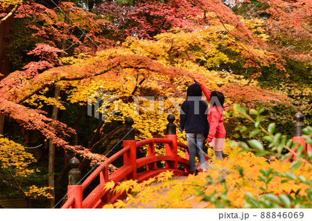 広島県世羅郡今高野山の紅葉 広島県世羅郡今高野山の紅葉 88846069