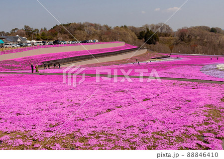 栃木県市貝町の芝さくら公園の全景 栃木県市貝町の芝さくら公園の全景 88846410