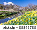新名庄川沿いから望む富士 88846788