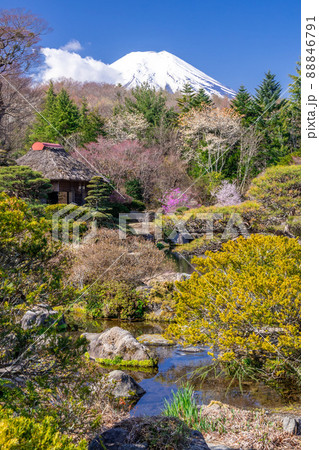 茅葺屋根と富士山 茅葺屋根と富士山 88846791