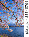 桜咲く河口湖畔から望む富士 88846794