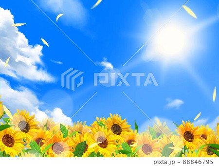 雲のある青空に輝く太陽の下美しいひまわりが咲く爽やかなひまわり畑の初夏フレーム背景素材のイラスト素材