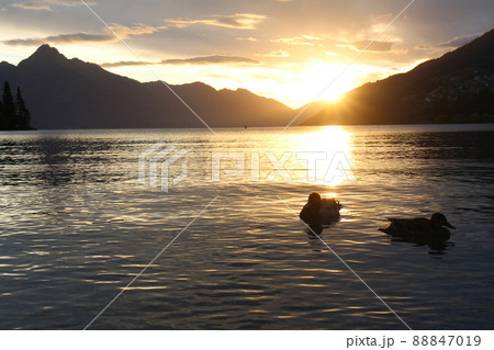 ニュージーランド_クイーンズタウン_夕日32 ニュージーランド_クイーンズタウン_夕日32 88847019