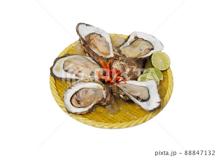 Raw oysters decorated in a plate with a white background Raw oysters decorated in a plate with a white background 88847132