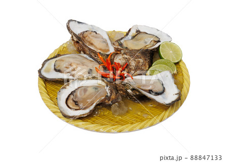 Raw oysters decorated in a plate with a white background Raw oysters decorated in a plate with a white background 88847133