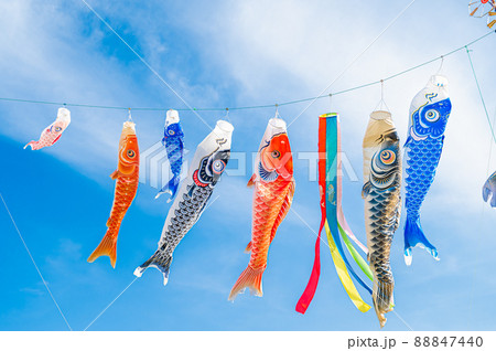 青空を泳ぐこいのぼり 88847440