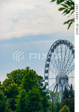 landscape of an amusement park with the top of a Ferris wheel showing above the tree tops against a blue sky. 88847487