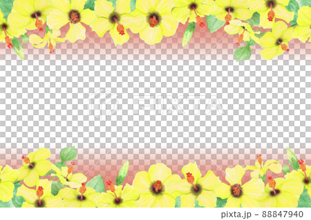 Hand drawn illustration frame of yellow hibiscus flowers, buds, leaves, branches 88847940