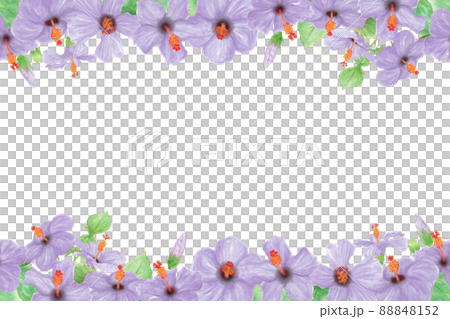 青いハイビスカスの花、つぼみ、葉、枝の手描きイラストフレーム 88848152