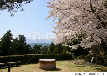 智恵子の杜公園の桜（福島県・二本松市） 88848631