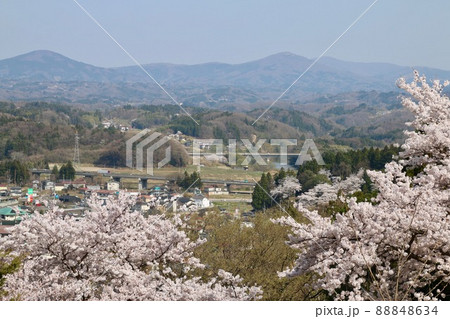 智恵子の杜公園の桜・阿武隈川（福島県・二本松市） 88848634