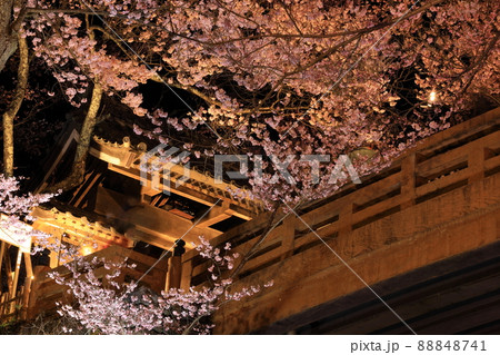高遠城址公園の桜　ライトアップ 88848741