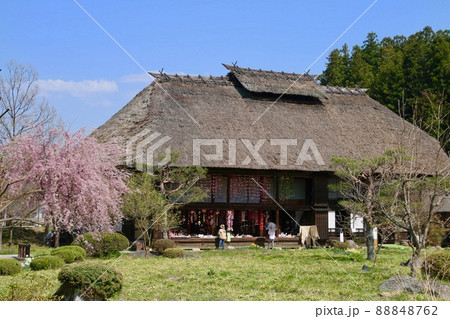 安達ヶ原ふるさと村の桜（福島県・二本松市） 88848762
