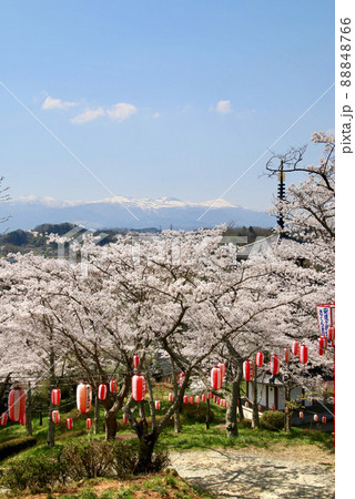安達ヶ原ふるさと村の桜（福島県・二本松市） 88848766