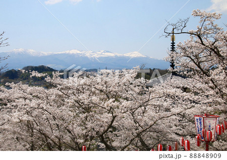 安達ヶ原ふるさと村の桜（福島県・二本松市） 88848909