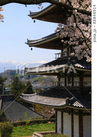 安達ヶ原ふるさと村の桜・五重塔(福島県・二本松市) 安達ヶ原ふるさと村の桜・五重塔(福島県・二本松市) 88848914