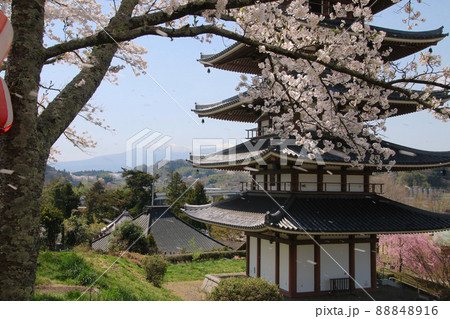 安達ヶ原ふるさと村の桜・五重塔(福島県・二本松市) 安達ヶ原ふるさと村の桜・五重塔(福島県・二本松市) 88848916