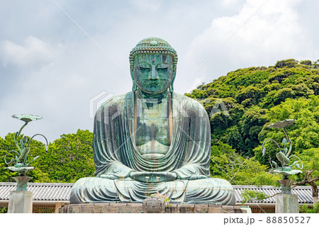 高徳院 鎌倉大仏 高徳院 鎌倉大仏 88850527