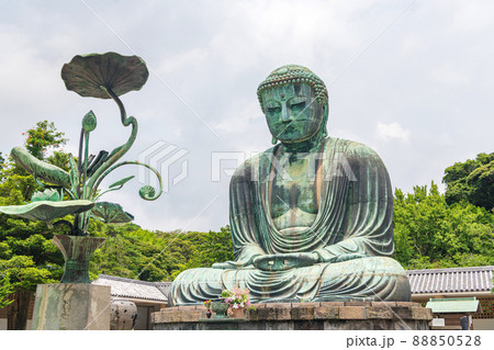 高徳院 鎌倉大仏 高徳院 鎌倉大仏 88850528