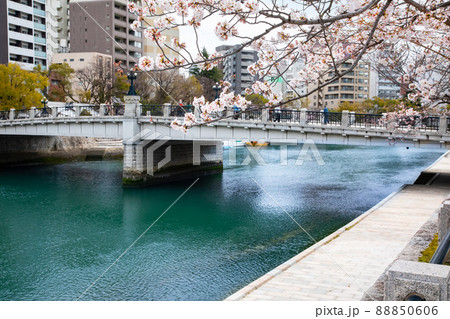 春の平和記念公園の風景です。桜の花がもうすぐ満開の時期です。明るい雰囲気をどうぞ。広島県 88850606