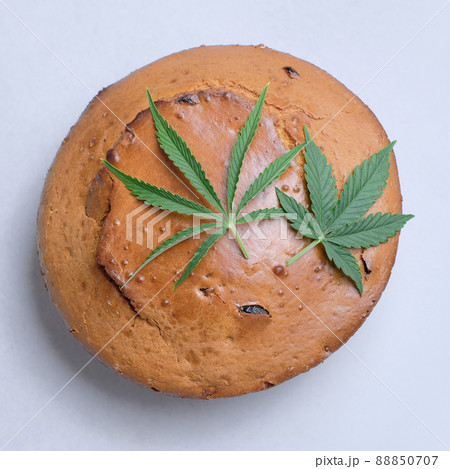 Homemade pie with CBD oil. Cannabis kitchen. Homemade pie with CBD oil. Cannabis kitchen. 88850707
