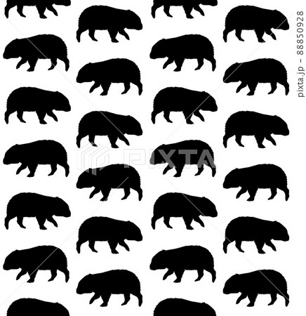 Vector seamless pattern of wombat silhouette Vector seamless pattern of wombat silhouette 88850928