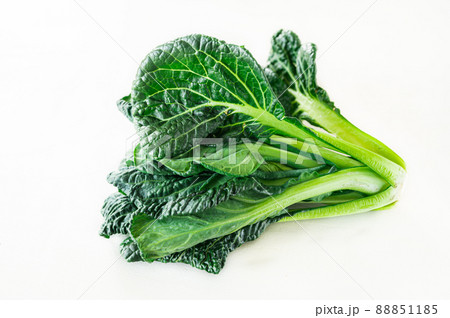 ちぢみ小松菜 88851185