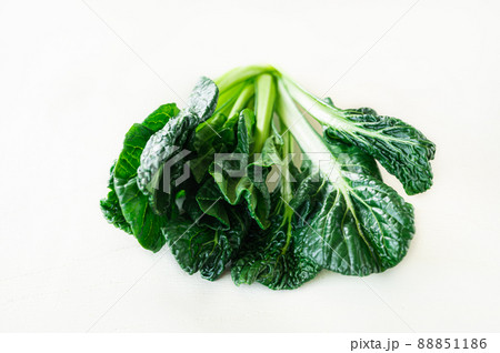 ちぢみ小松菜 88851186