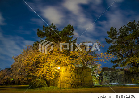 《愛知県》名古屋城　二之丸大手二之門の桜　夜景 88851206
