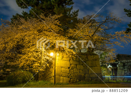 《愛知県》名古屋城 二之丸大手二之門の桜 夜景 《愛知県》名古屋城 二之丸大手二之門の桜 夜景 88851209