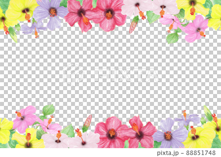 いろんな色のハイビスカスの花、つぼみ、葉、枝の手描きイラストフレーム 88851748