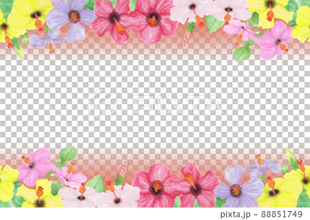 いろんな色のハイビスカスの花、つぼみ、葉、枝の手描きイラストフレーム 88851749