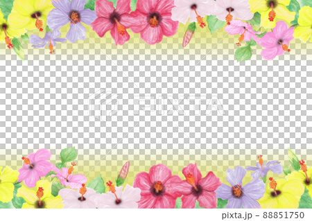 いろんな色のハイビスカスの花、つぼみ、葉、枝の手描きイラストフレーム 88851750