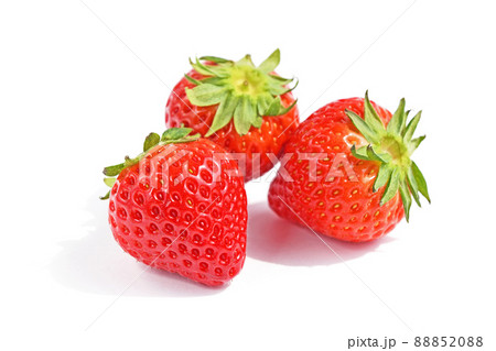 いちご（いちごさん） 88852088