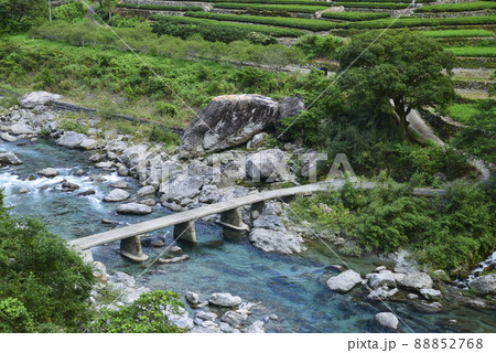 長屋の沈下橋と茶畑 長屋の沈下橋と茶畑 88852768