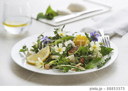 Dandelion salad spring 88853373