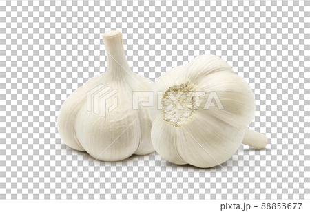 大蒜大蒜插畫實拍 88853677