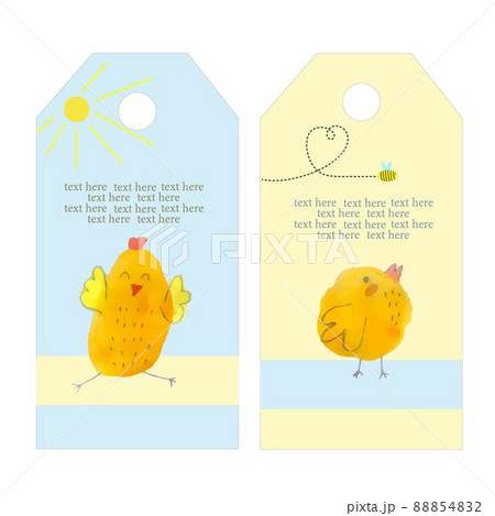 Set of labels from cute Easter chickens. Easter holiday. Label or banner, postcard design. Flat illustration. 88854832