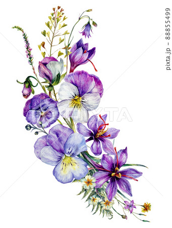 Hand Drawn Watercolor Floral Decoration Isolated on White. 88855499
