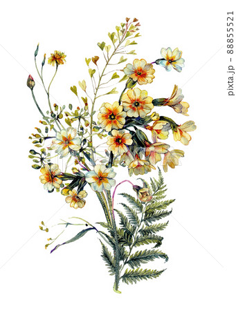 Hand Drawn Watercolor Floral Decoration Isolated on White. Hand Drawn Watercolor Floral Decoration Isolated on White. 88855521