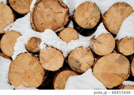 Close-up of dry chopped firewood forming woodpile covered with snow Close-up of dry chopped firewood forming woodpile covered with snow 88855696