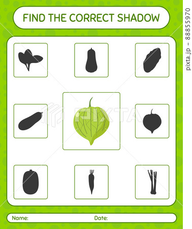 Find the correct shadows game with tomatillo. worksheet for preschool kids, kids activity sheet 88855970