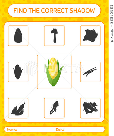 Find the correct shadows game with corn. worksheet for preschool kids, kids activity sheet Find the correct shadows game with corn. worksheet for preschool kids, kids activity sheet 88855981