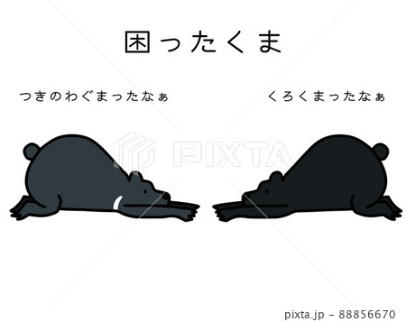 困ったくま 困ったくま 88856670