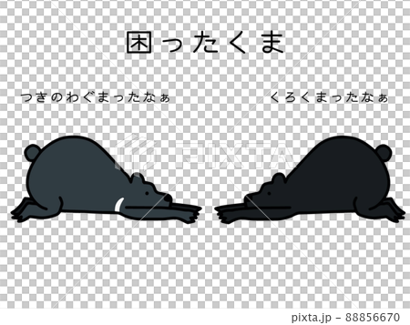 困ったくま 困ったくま 88856670