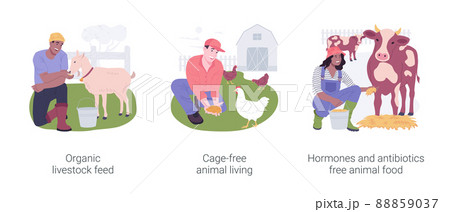 Organic livestock farming isolated cartoon vector illustrations set. 88859037