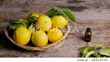 Basket full of Bergamot orange tree on the table Basket full of Bergamot orange tree on the table 88859348